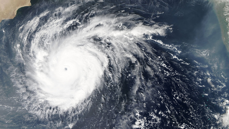 1080P, animal, satellite, sea, blue, animal themes, storm, hurricane, wave, day, power in nature, motion, close-up, power, environment, no people, animals in the wild