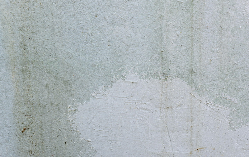 plywood, corner, concrete wall, white, floor, surface level, insect, slate, wall, texture, drain, linen, gray, concrete, home decor, full frame, weathered