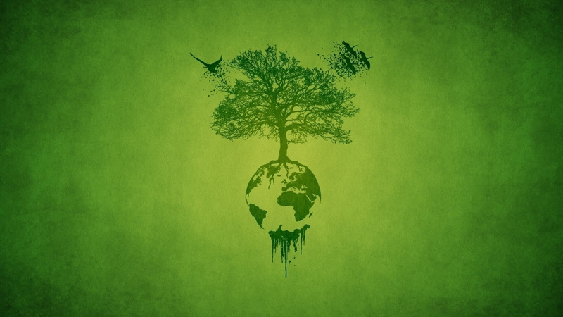 tree, colored background, backgrounds, cartography, green background, ideas, 1080P, single object, paper, world Map, leaf, growth, studio shot, map, globe - Man Made Object