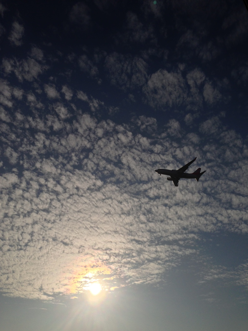 america, low angle view, beauty in nature, agents, speed, tourism, departure, bird, sunlight, travel, tourist, aviator, landing, spread wings, holiday