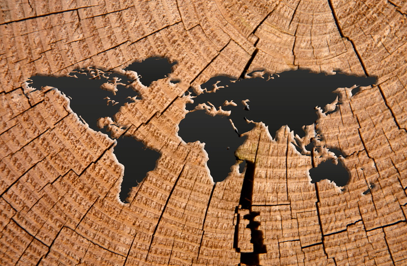world, earth, backgrounds, arid climate, wood, shadow, mud, pattern, world map, old, outdoors, artwork, dry, map of the world, no people, climate, cracked