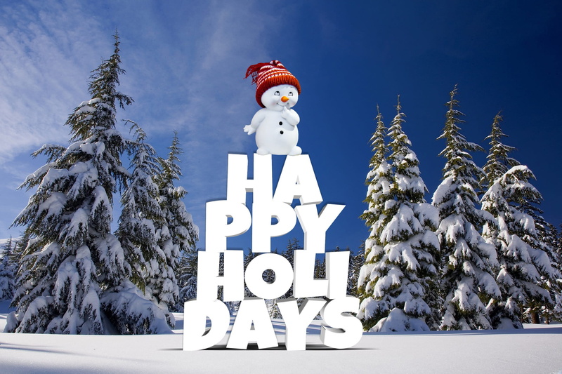 day, 1080P, frost, decoration, sky, christmas tree, pine, nicholas, holiday, holi, forest, winter magic, christmas, white color, cold temperature, christmas time