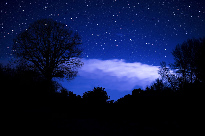 space and astronomy, frost, outdoors, winter, bare tree, christmas, no people, nicholas, beauty in nature, photo, tranquility, night, star field, astronomy