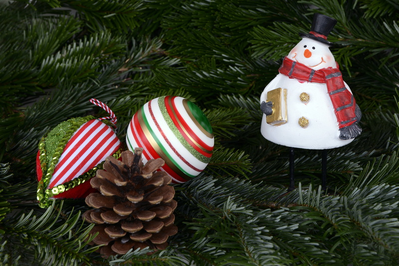 branch, holiday, christmas time, celebration event, season, christmas balls, holly, decor, pine, cone, decoration, christmas, christmas wishes, christmas images