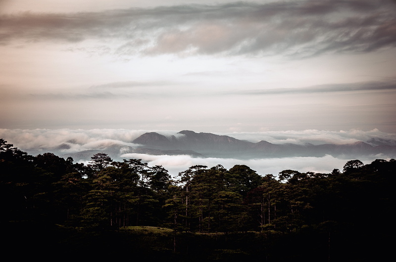 tranquility, non-urban scene, tranquil scene, peak, travel, sky, forest, spring, drive, highway, mountain, sunset, adventure, sunny, light, outdoors, journey