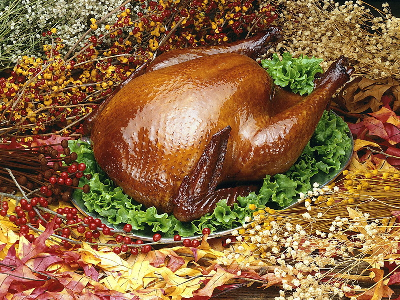 animal, wellbeing, bread, thanksgiving, food, food and drink, 720P, ready-to-eat, wood - Material, gourmet, meal, celebration, fried, container, vegetable