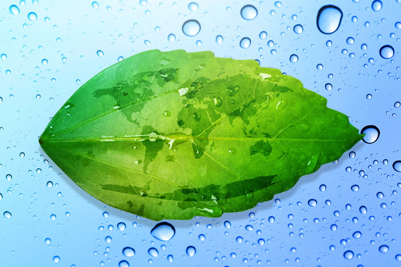 light, bokeh, abstract, green, Rosa, creative, continents, Islands, illustration, rain, macro, water, nature, surface, leaf, refraction, blur
