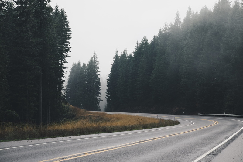 pacific northwest, winding, panoramic, sign, misty, inline, coniferous tree, country, plant, empty road, marking, transportation, double yellow line, curve