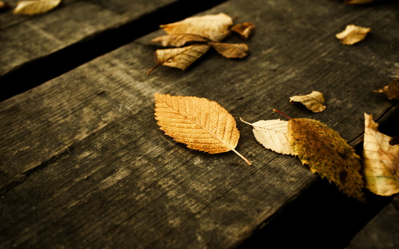 wooden surface, leaves, 1080P, low saturation, fall