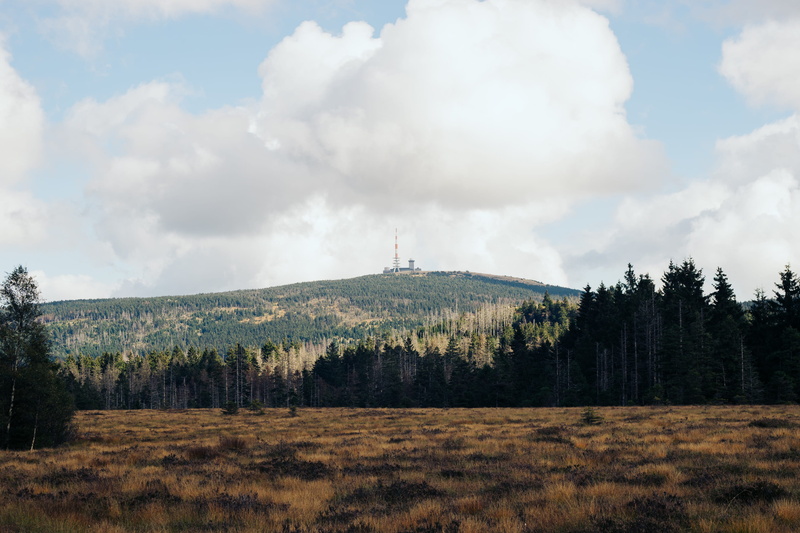 europe, hill, non-urban scene, day, no people, field, hike, european, natural, vegetation, recreation, reserve, plant, hilly, season, peak, calm, destination