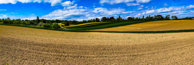outdoors, cloud - sky, panorama, springtime, plant, arable land, cultivation, nature, green - golf course, panoramic, power poles, rural scene, may, tranquility