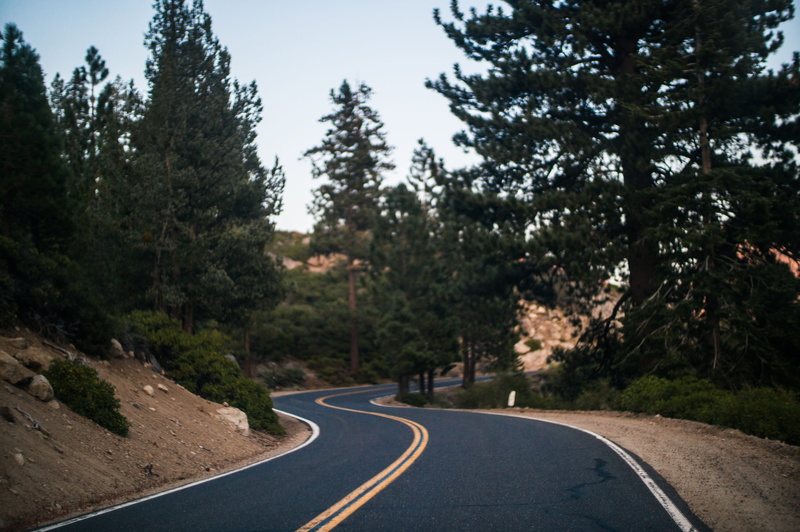 landscape, road marking, scenics - nature, nature, dividing line, trees, asphalt, outdoors, no people, side, bend, plant, marking, curvy, beauty in nature