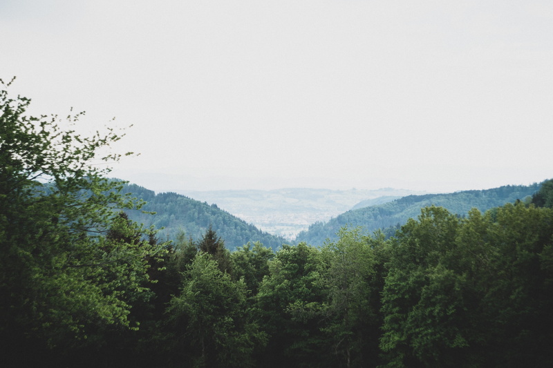 2K, traveling, vacation, scenic, countryside, green, landscape, black, hill, land, green color, tree, ecology, coniferous tree, outdoor, outdoors, environment