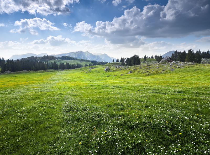 Trees, Alpine, santis, outdoors, Rolling, cantonofappenzellouterrhodes, polariser, Daisy, environment, Shadows, Wildflowers, tranquility, Clouds, Mountains