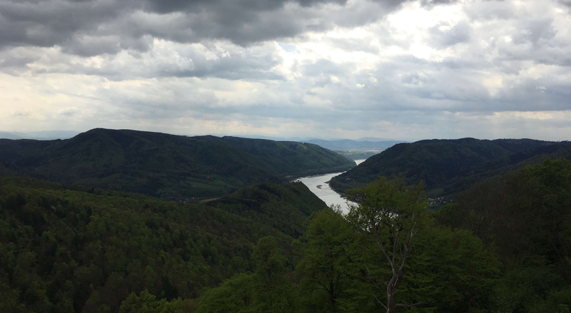 river, nature, forest, beauty in nature, green, dark green, green color, plant, cloud - sky, environment, scenics - nature, big, landscape, mountain ridge