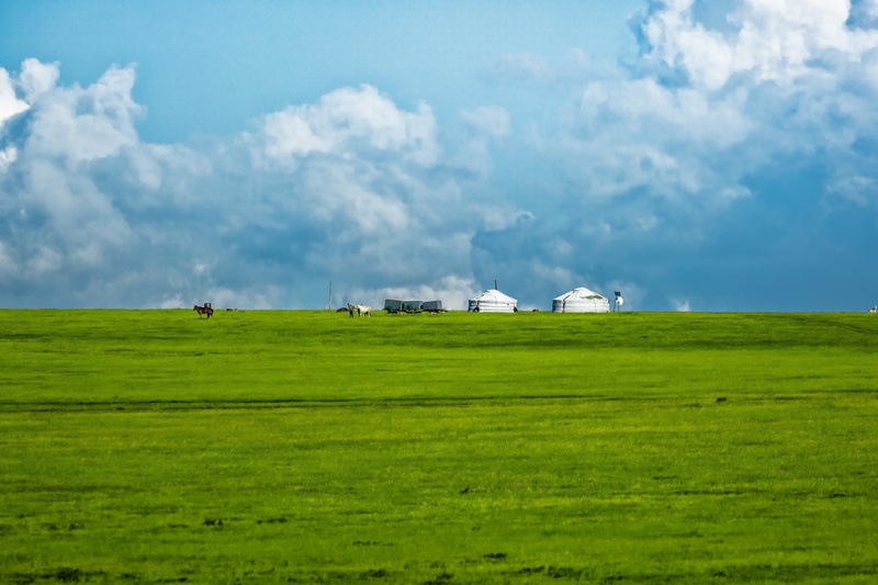 building, meadow, domestic animals, land, farm, nature, field, agriculture, cloud, mammal, cloud - sky, bayan audio bo, landscape, mongolia, plant, beauty in nature