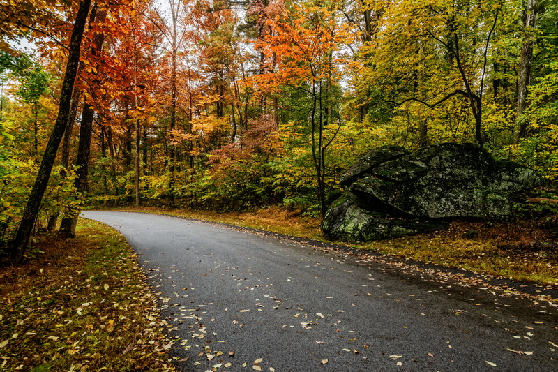 Space, creepy, civil war, Photography, People, yellow, ground, pathway, Nature, Season, Landscape, Scenics, Lines, Autumn  Leaf, Tree  Yellow, ghosts, Colored