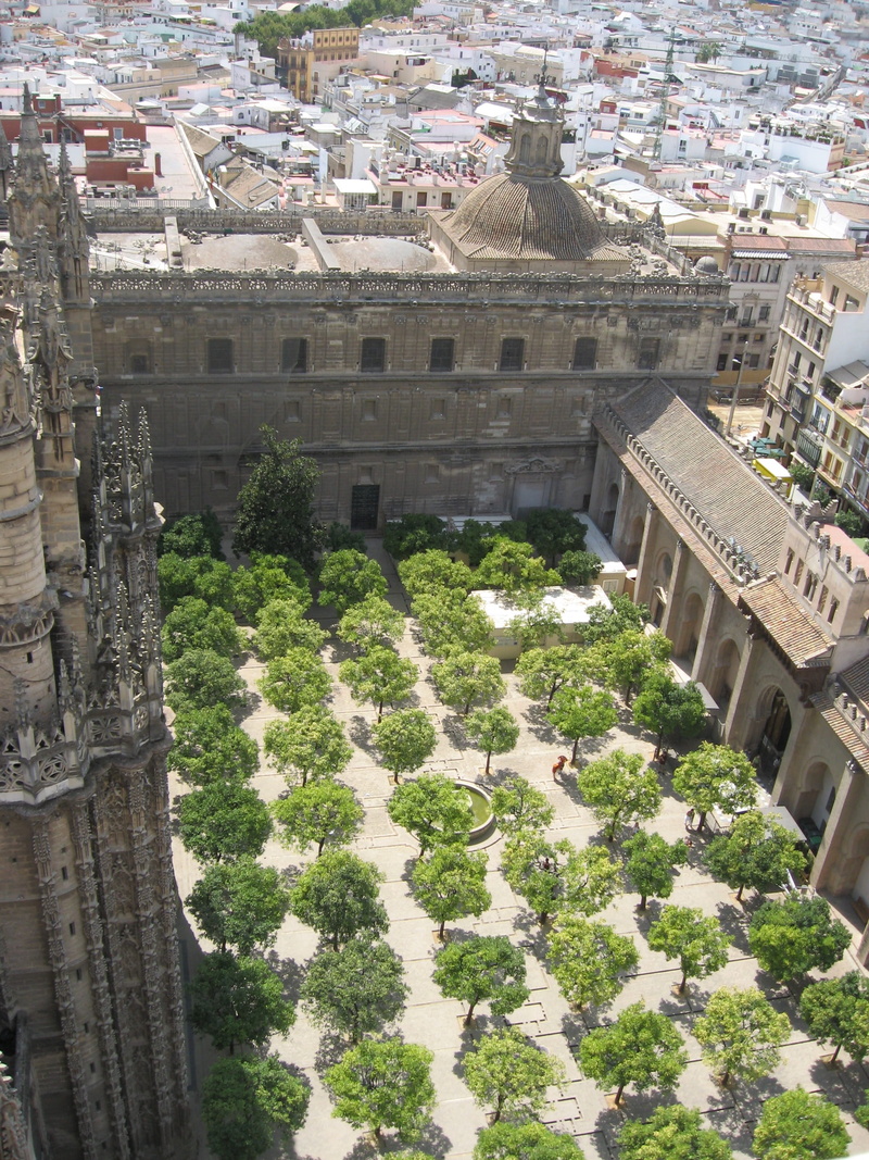 travel, growth, public domain, green color, day, urban Scene, nature, cathedral, Seville, tree, the past, building, cityscape, italy, tourism, history