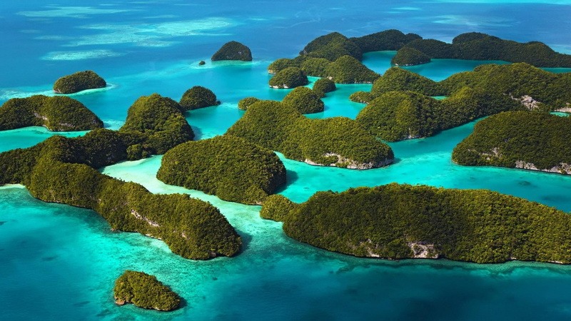undersea, coral, turquoise colored, andaman, solid, nature, no people, land, outdoors, marine, sea, animal, lagoon, rock - object, blue, rock, beauty in nature