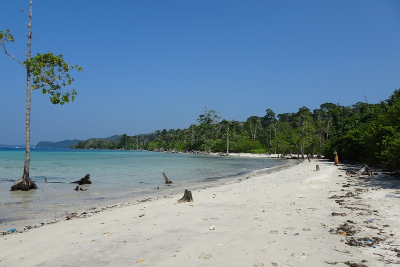 andamans, scenics - nature, sand, tranquil scene, blue, sky, tree, growth, plant, no people, tranquility, day, 4K, clear sky, sunlight, beach, water, outdoors
