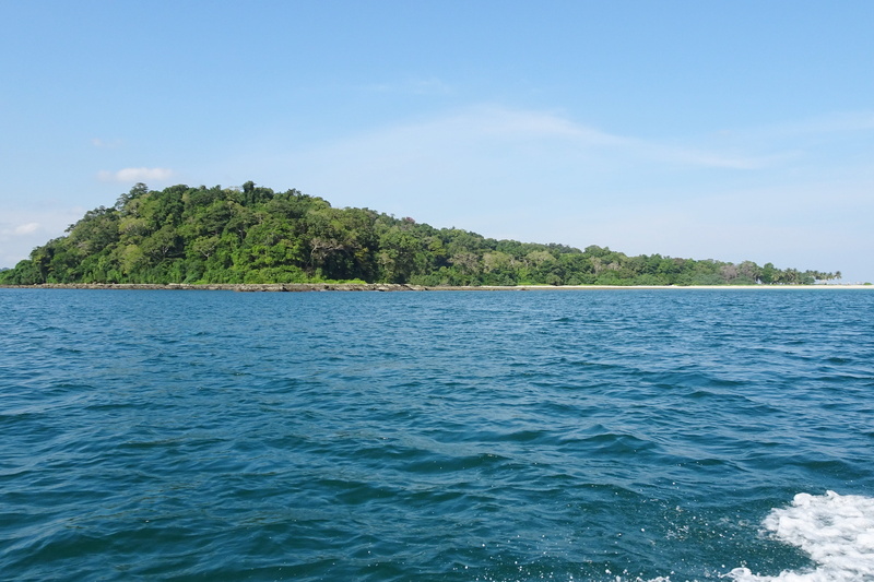 day, 4K, island, sea, andaman, turquoise colored, india, no people, smith, sky, tranquil scene, non-urban scene, outdoors, beauty in nature, growth, water