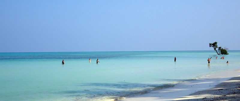 shallow, turquoise colored, sky, scenics - nature, day, havelock, trip, horizon over water, beach, india, land, sea, andaman, leisure activity, tranquil scene