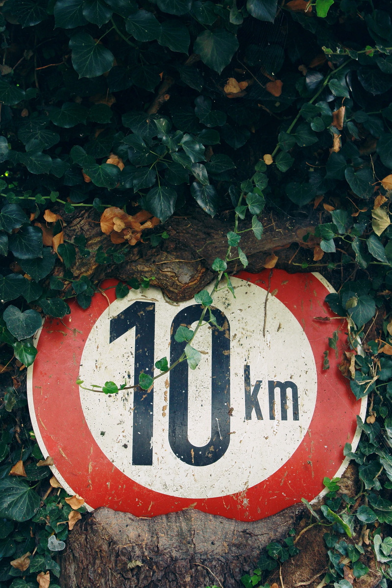 tree, western script, text, close-up, plant part, mileage, red, communication, characters, note, no people, wood, road sign, creeper plant, km, shield
