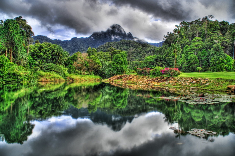 Fog, sky, beauty in nature, forest, tranquil scene, Reflection, water, land, reflection lake, no people, Langkawi Island, mountain, scenics - nature, Earth