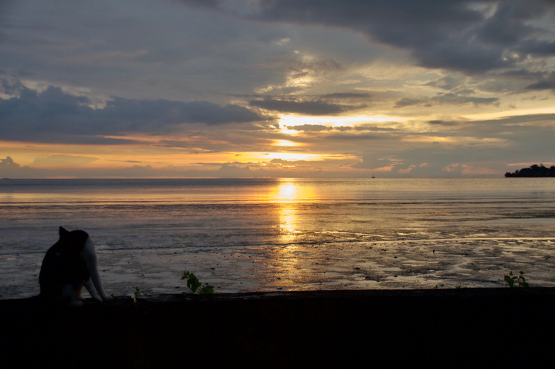 5K, sun, scenics - nature, tropic, nature, horizon, men, water, orange color, outdoors, cloud - sky, langkawi, tranquil scene, beauty in nature, real people