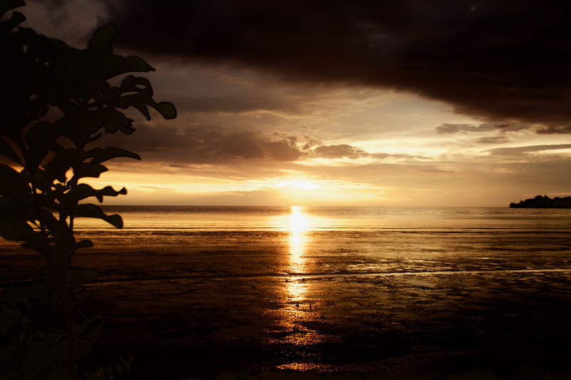 tranquility, tree, summer, sunset, land, tranquil scene, langkawi, orange color, scenics - nature, beauty in nature, no people, asia, cloud, silhouette