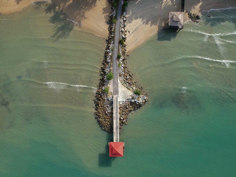 nature, aerial, ikebana, high angle view, body, day, blossom, scenics - nature, sea, outdoors, water, tranquility, green color, vase, land, pottery, coast