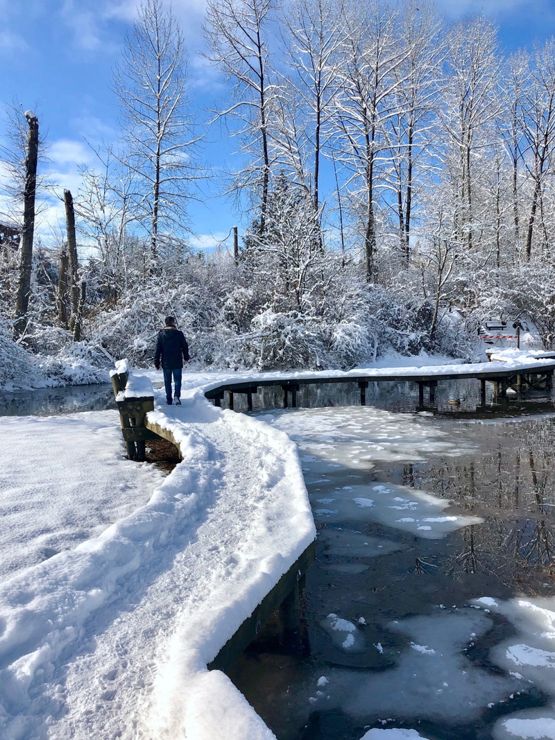 pathway, warm clothing, water, bc, full length, outdoor, shoreline park, covering, lifestyles, plant, turquoise, footprint, environment, one person, real people