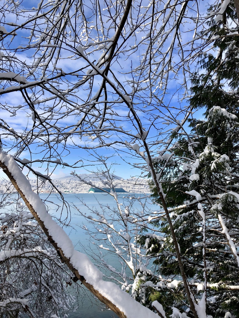 canada, tranquil scene, outdoors, winter, scenics - nature, sky, port moody, branch, light, outdoor, bare tree, frozen, water, beauty in nature, branches