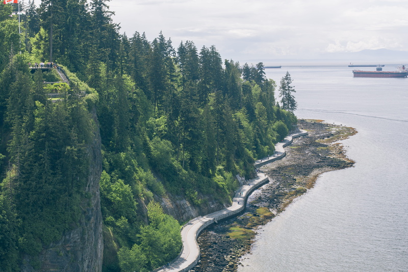 canada, mode of transportation, forest, shore, day, green color, non-urban scene, landscape, vancouver, land, tranquility, path, 5K, stanley park, mountain