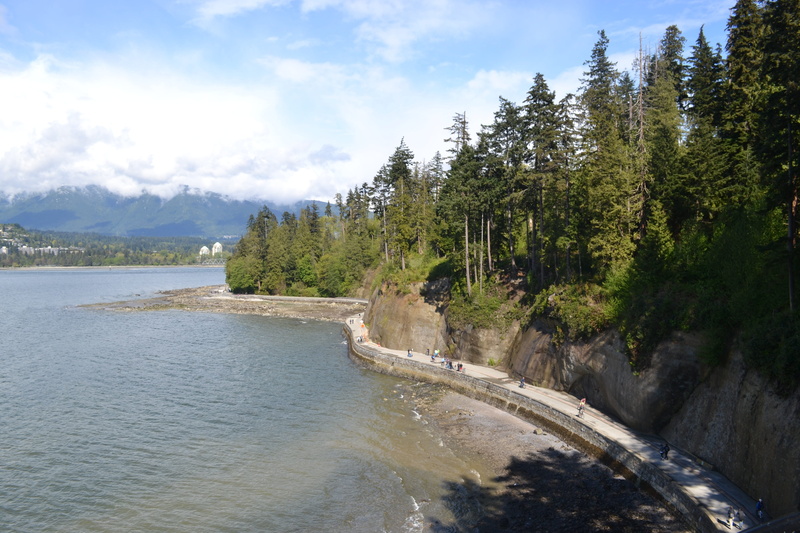 Vancouver, flowing, flowing water, outdoors, 4K, tree, plant, beauty in nature, cloud - sky, Stanley Park, power in nature, scenics, Canada, no people