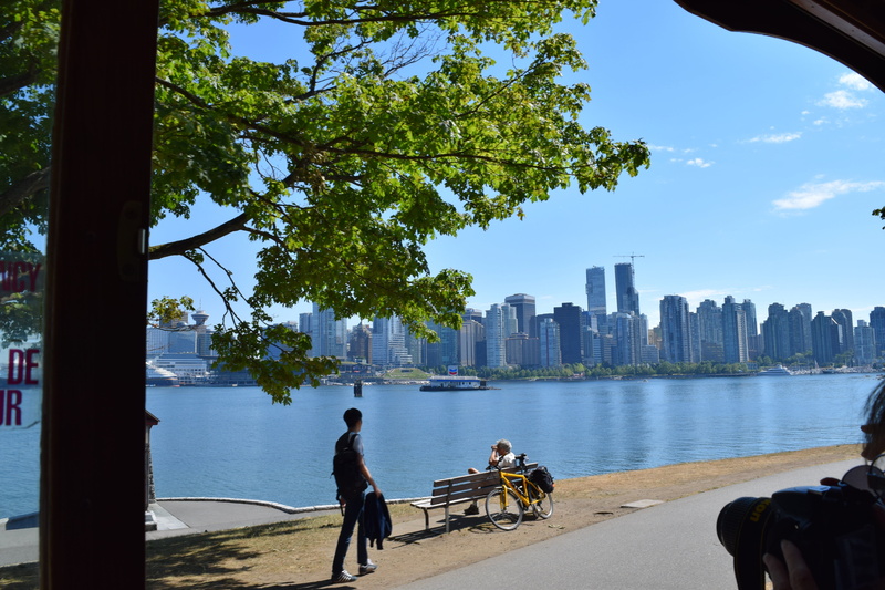 5K, stanley park, bc, dazzling, outdoors, plant, leisure activity, sea, women, ocean, water, clouds, calm, canada, growth, architecture, reflection, bright