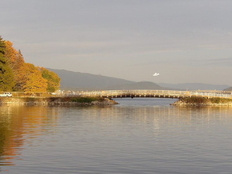 tranquil scene, lake, nature, mountain, scenics, tranquility, waterfront, sky, Stanley Park, beauty in nature, plant, water, Downtown, no people, Vancouver