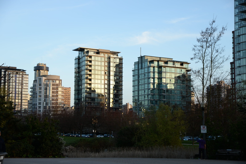 building exterior, plant, office building exterior, no people, skyscraper, sky, 5K, building, canada, day, stanley park, tree, city, built structure, architecture