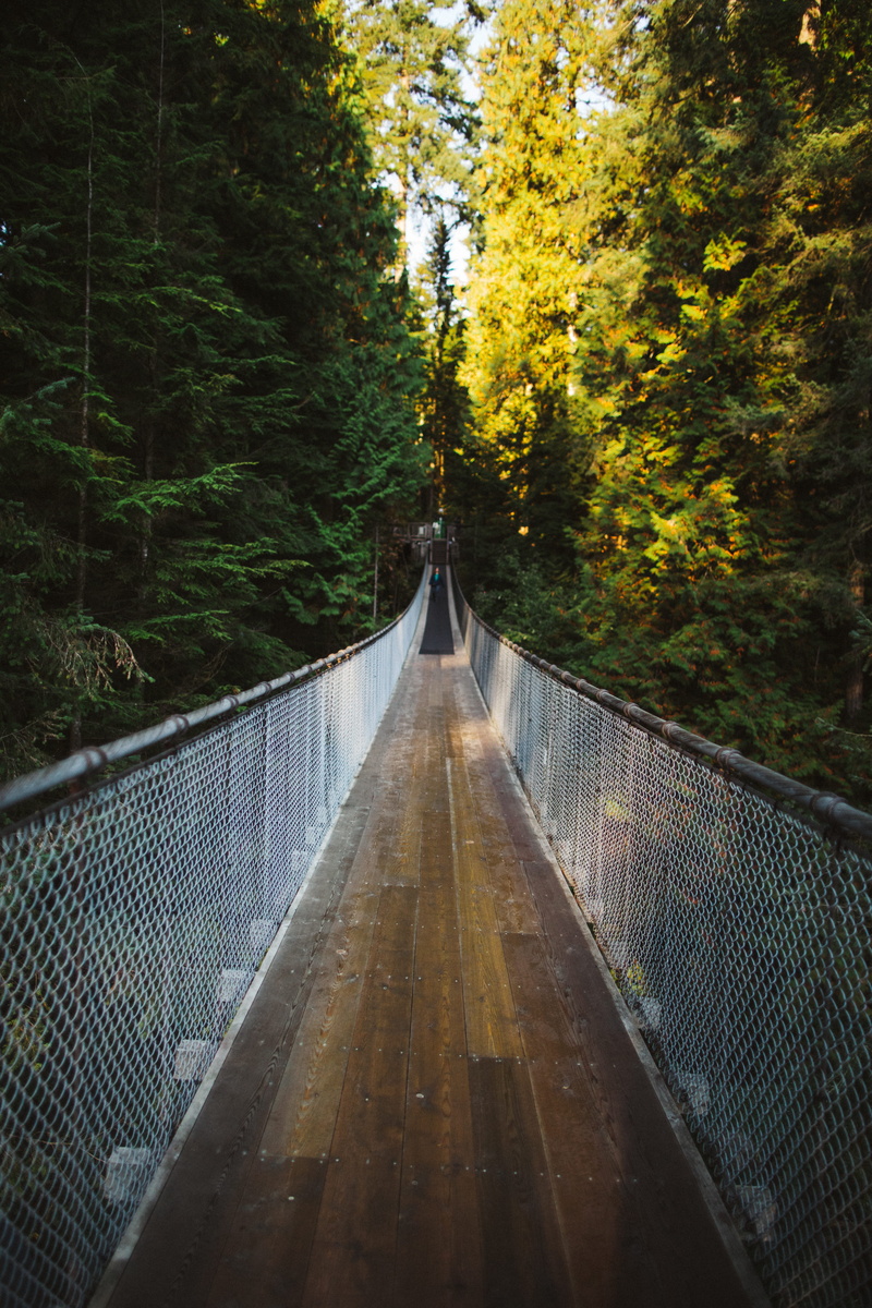 plant, day, long, bridge, building, change, sidewalk, canada, outdoors, gravel, white, direction, transportation, hanging, pavement, road, footbridge, railing