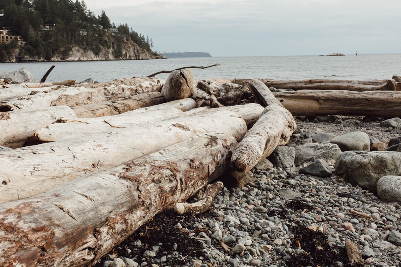 water, rock - object, whytecliff park | west vancouver, landscape, several, ground, rubble, non-urban scene, no people, scenery, sea, ocean, beach, wood