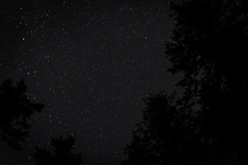 land, outer space, 5K, plant, vancouver, starry, space, low, nebula, star, space and astronomy, silhouette, nature, star field, canada, starry sky, vegetation