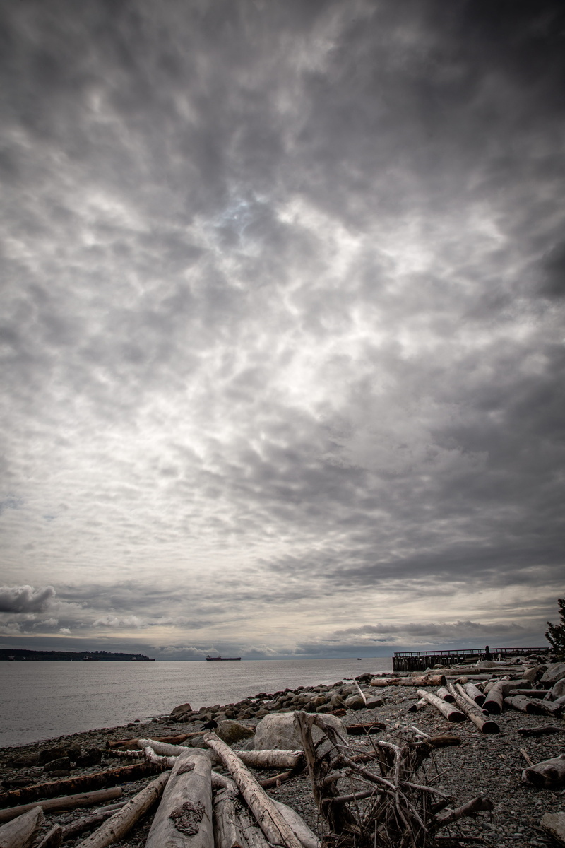 ominous, pacific northwest, horizon, clouds, day, nature, sky, beauty in nature, scenics - nature, pier, overcast, canada, land, driftwood, non-urban scene