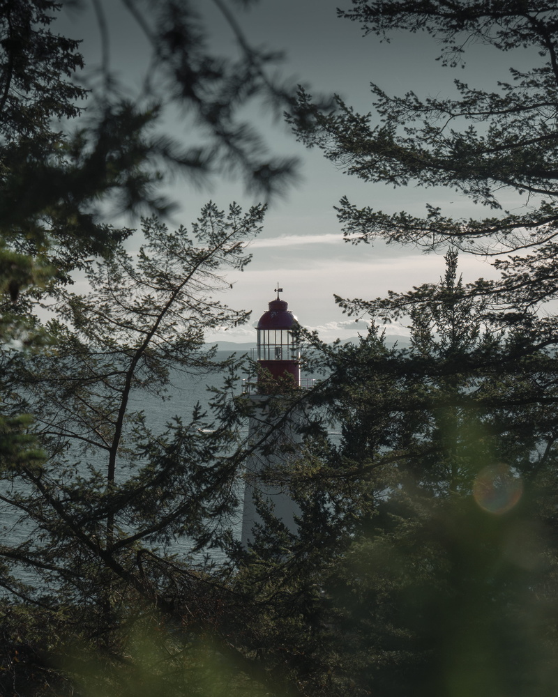 trees, shrine, abies, conifer, building, worship, security, steeple, tower, plant, tranquility, tree, guidance, vancouver, temple, point atkinson lighthouse