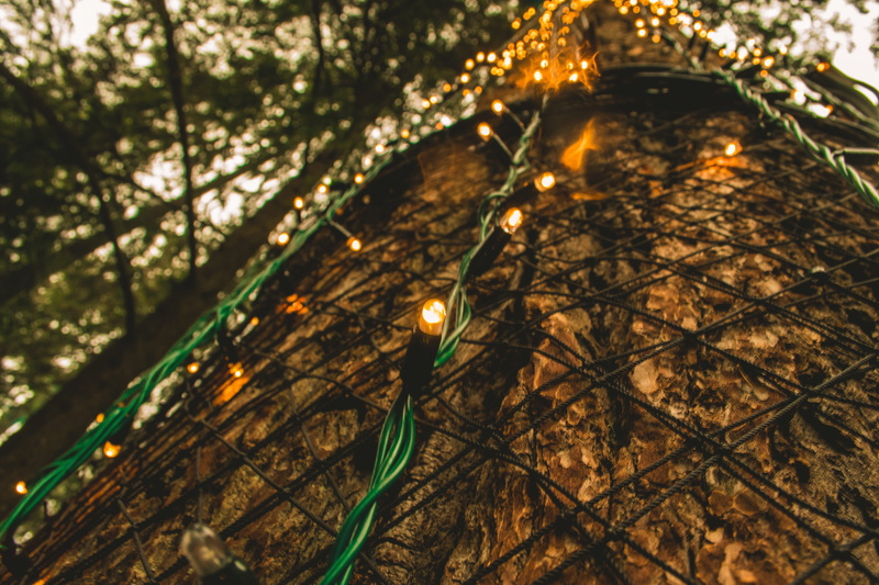 canada, fire, candle, focus on foreground, wood - material, west vancouver, outdoors, selective focus, lighting equipment, nature, capilano suspension bridge