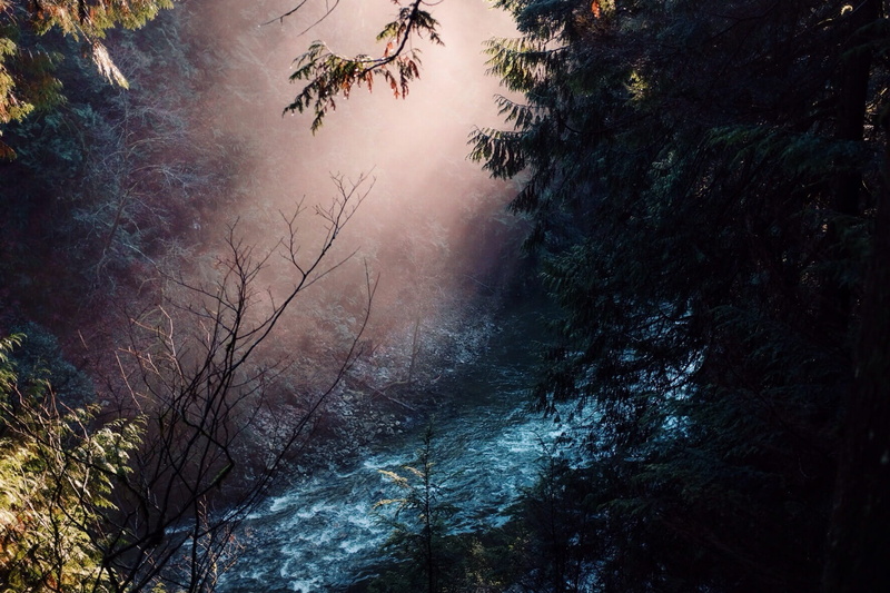 720P, day, flowing water, plant, beauty in nature, no people, lookout, west vancouver, high angle view, growth, sunlight, tree, canada, tranquility, outdoors