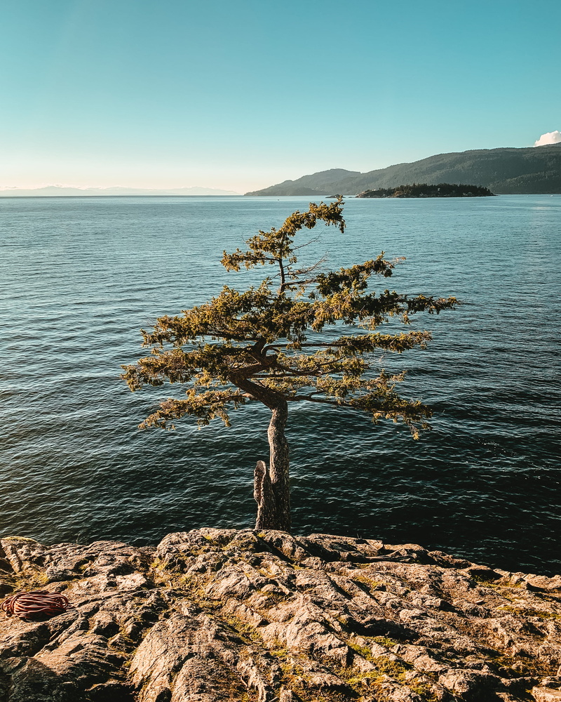 seashore, scenery, cliff, sea, canada, clear sky, west vancouver, outdoors, fir, beach, conifer, solid, nature, land, scenics - nature, shot on iphone