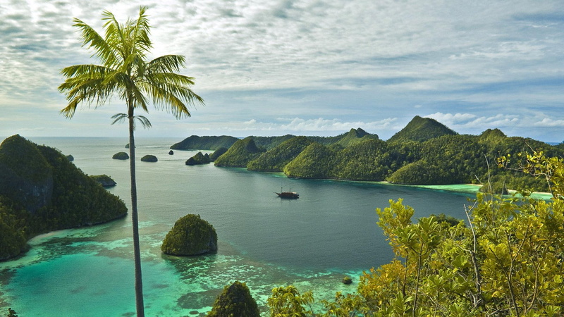 inlet, tree, forest, nature and landscapes, coconut, beautiful, plams, 1080P, mountains, polynesian