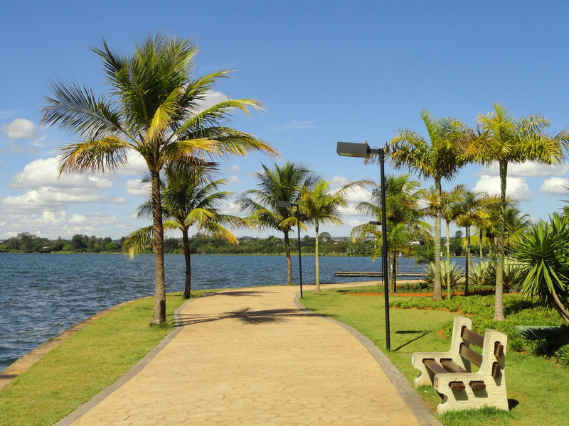 water, horizon over water, tropics, walkway, blue, outside, summer, travel Destinations, palm trees, land, scenics - nature, 2K, coastline, tropical Climate