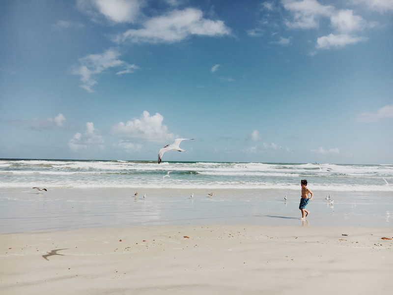 one person, ocean, florida, water, waves, childhood, birds, land, 4K, happy, lifestyles, day, full length, nature, sunny, sand, scenics - nature, beauty in nature