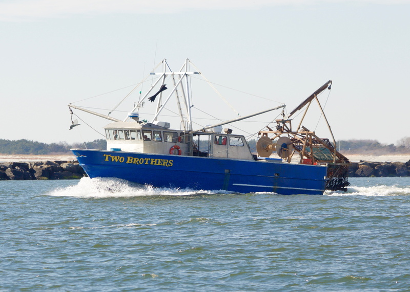 trawler, sailing, harbor, water, fishery, 4K, nautical vessel, day, ship, outdoors, seafood, Boat, inlet, fishermen, Fishing, Commercial, motion, cape mayinlet